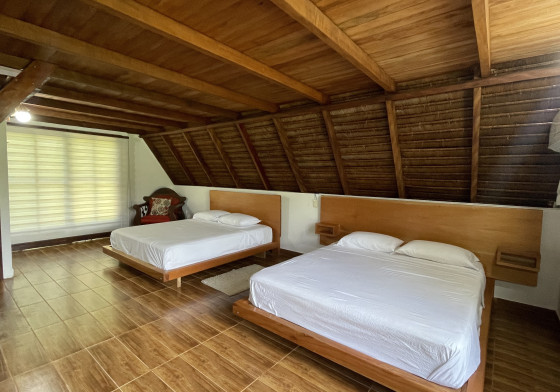 slider-image